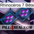Rhinocéros 7 Bêta 03